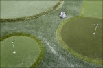 http://jankoehler.eu/files/gimgs/th-8_Golf_01.jpg